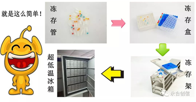 樣本凍存解決方案之凍存架、凍存盒、凍存管