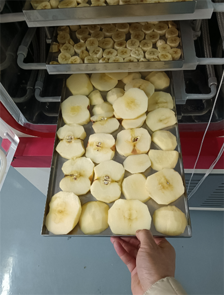 使用化妝品凍干機(jī)對(duì)面膜進(jìn)行凍干具體有哪些步驟？